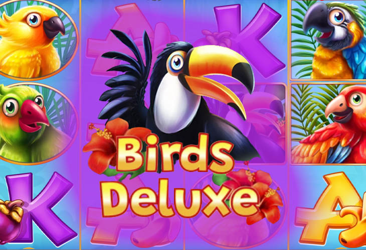 Birds Deluxe